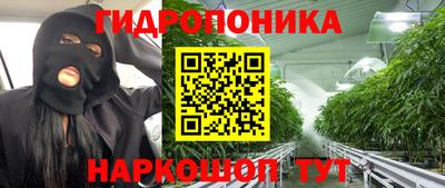 индика Гусиноозёрск