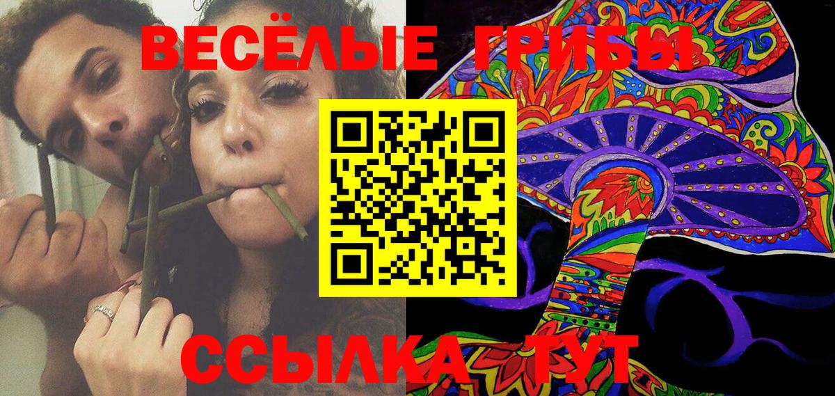 Псилоцибиновые грибы Psilocybine cubensis  Вход с VPN  Можга 
