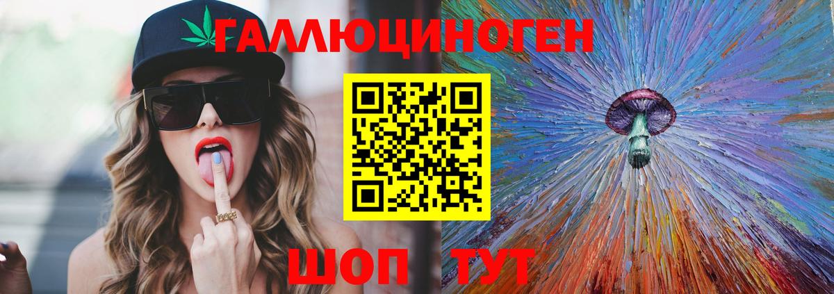 Псилоцибиновые грибы Psilocybe Можга